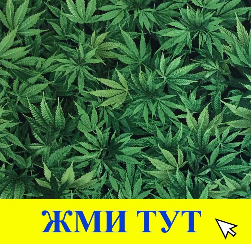 Купить наркотики в Новокузнецке
